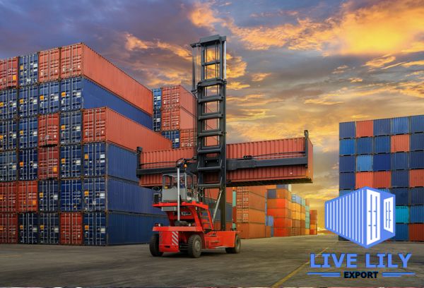 Services Live Lily Export